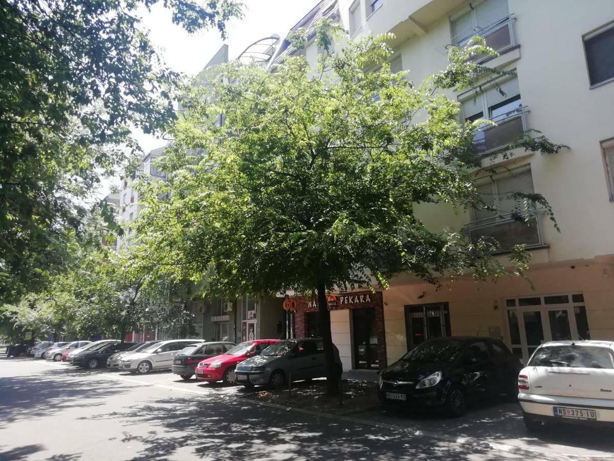 Two Kings Apartment Novi Sad Exterior photo